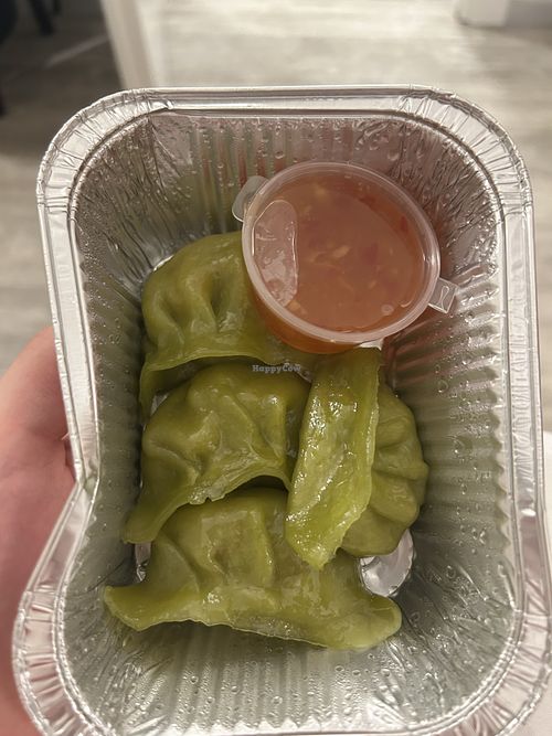 steamed vegetable dumplings  at Pho Fi in Florence