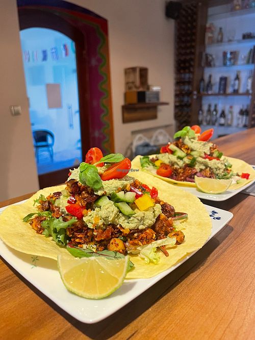 vegan taco at El Antro in Olomouc