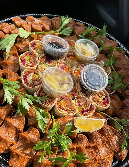  at Mahmood Cigkofte   in Toronto