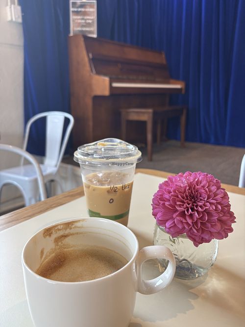Vanilla cardamom oat and hazelnut oat latte   at Showtime Studio and Coffee in Roseville