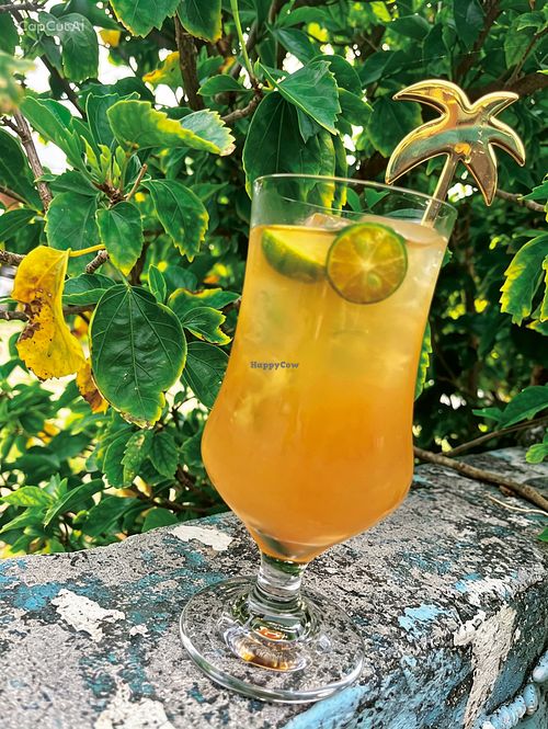 Spiced Shikuwasa drink at Yuyu Spice Curry Club - 遊遊スパイスカレー部  in Okinawa