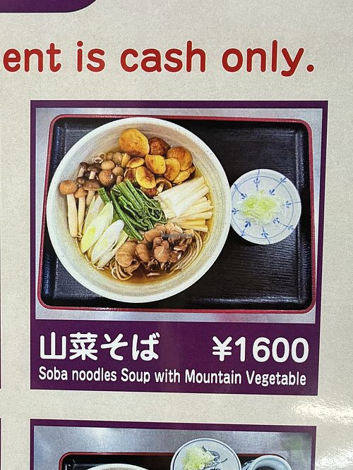 Ask for the dish to be served without the broth, so that it is fully vegan.   at Ikemoto Chaya in Yamanashi