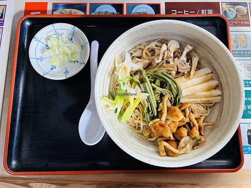 Soba noodles with mountain vegetables and soy sauce.   at Ikemoto Chaya in Yamanashi