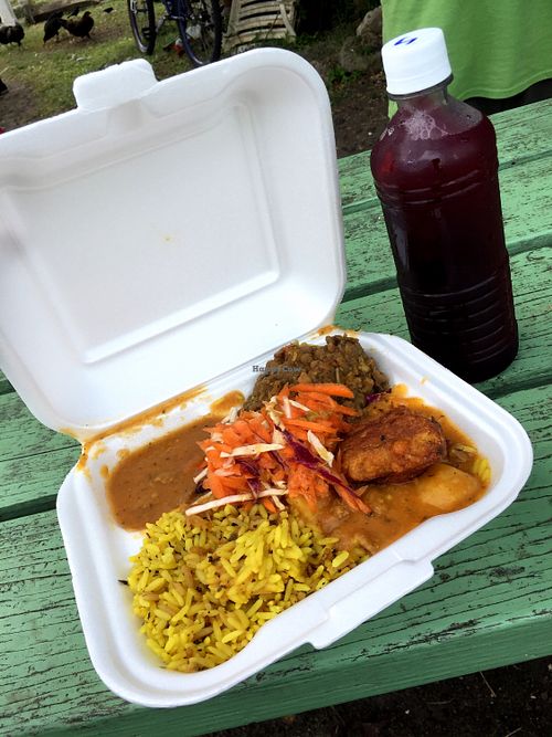 Delicious Rastafarian food at Papa Earl - Mobile Food Vendor in Mount Standfast
