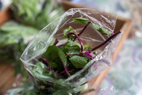 the best kale I have ever had at Sunday Market - Zonia in Holders Hill