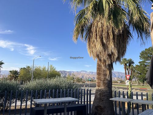   at Michael's In Borrego in Borrego Springs