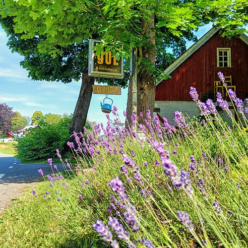  at Butik GUL i Kölleröd in Hoerby