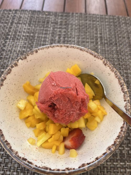 Raspberry sorbet dessert  at La Table du Clos - Le Clos Corbier in Ay-champagne
