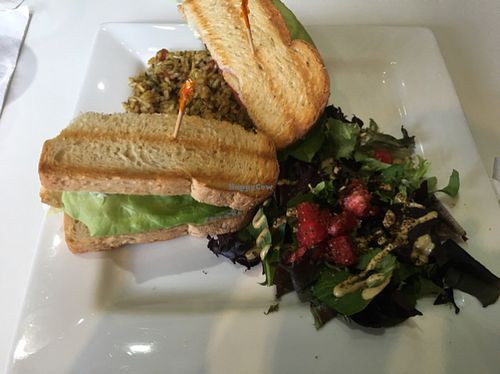 ZLT w/salad and house rice - YUM! at The New Vegan in Delray Beach