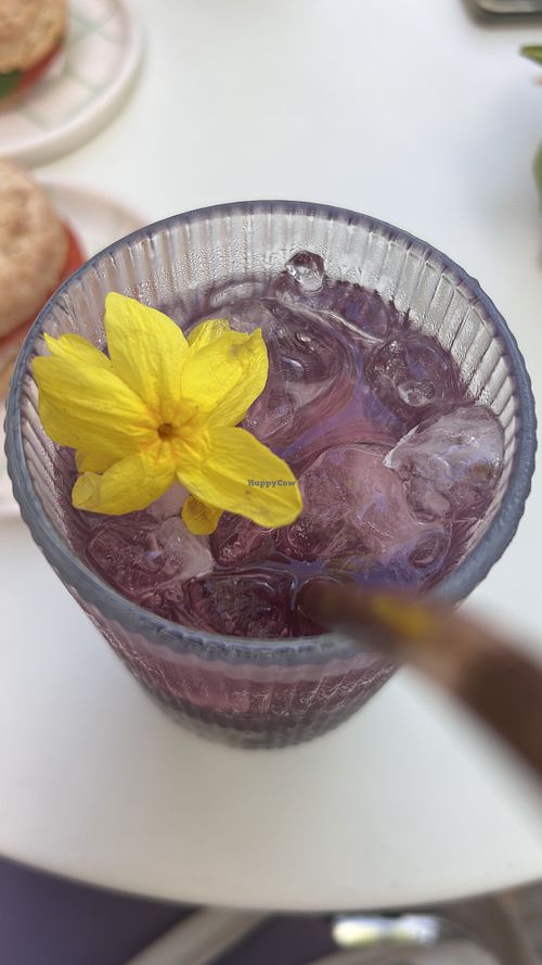 Limonada de arándanos   at Ventanin in Montevideo