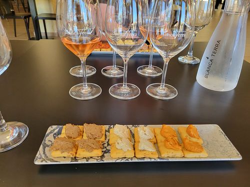 Wine #2 with all vegan tapas at Blanca Terra Bodega i Vinya in Mallorca