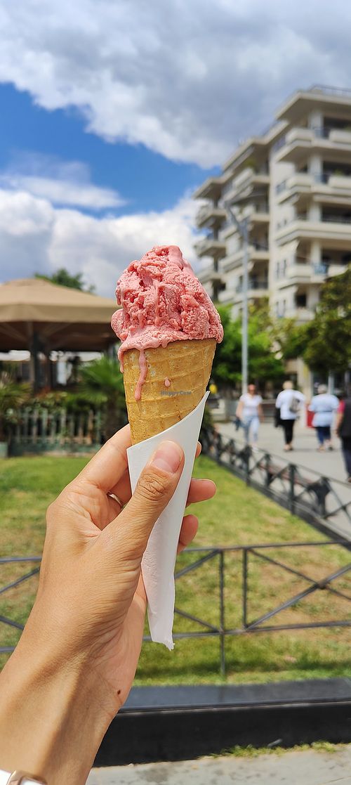 Watermelon sorbet at Fregio in Thessaloniki