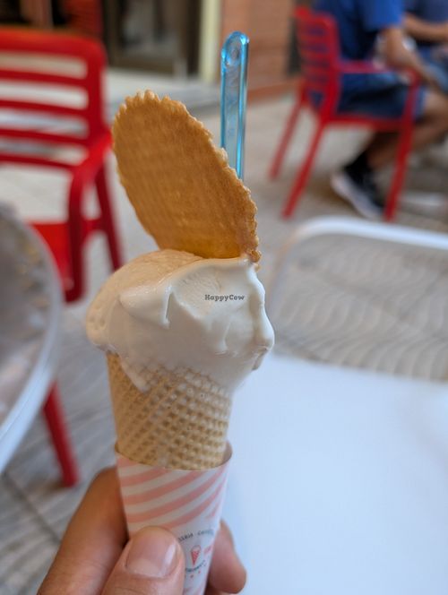 Nata vegana at Gelateria Dolce Italia in Cambrils