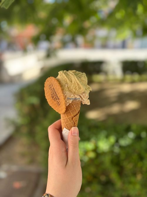 Pistacchio (top) and Nocciola (bottom, hazelnut)  at Mordenti Gelato in Ravenna