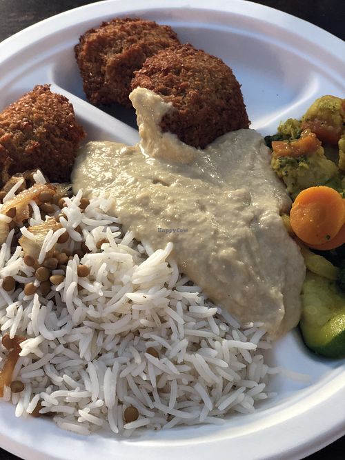 Rice with lentil and onions, hummus, falafel, curry vegetables  at Orient Experience II in Venice