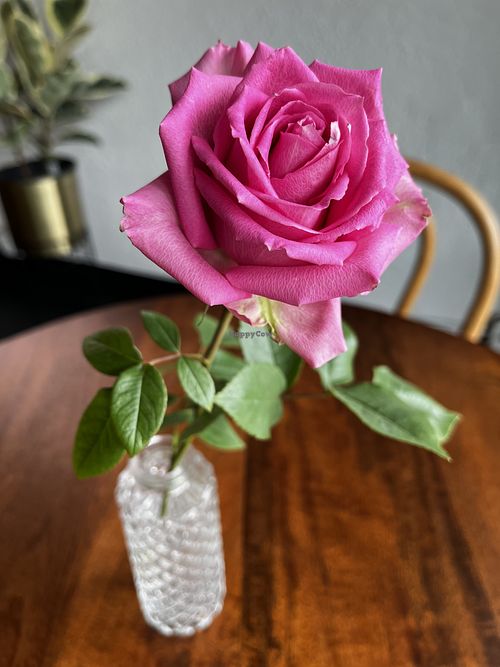 One of the beautiful real flowers on all the tables.  at Eats Bakery in Salt Lake City