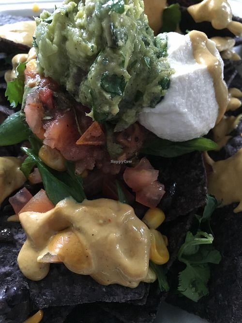 Nachos loaded with vegan queso, cashew cream and guac at Seed - Faubourg Lafayette in New Orleans