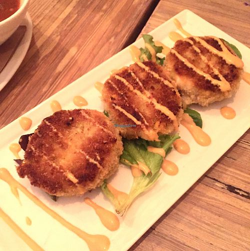 crab cakes at Seed - Faubourg Lafayette in New Orleans
