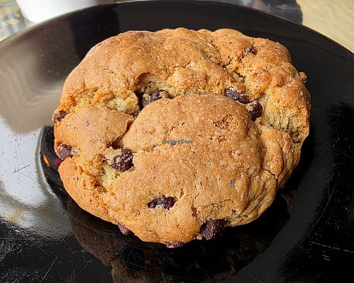 Brookie at Original Grinds in Fredericksburg