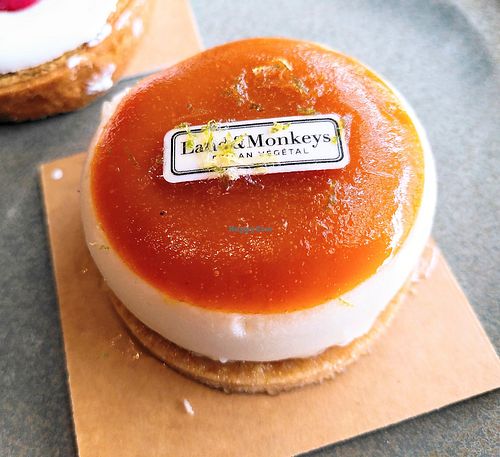 Rescued Mango Cheesecake at Land & Monkeys - Père Lachaise   in Paris