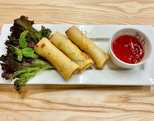 Spring rolls at Asian5 - The Hub  in Abu Dhabi