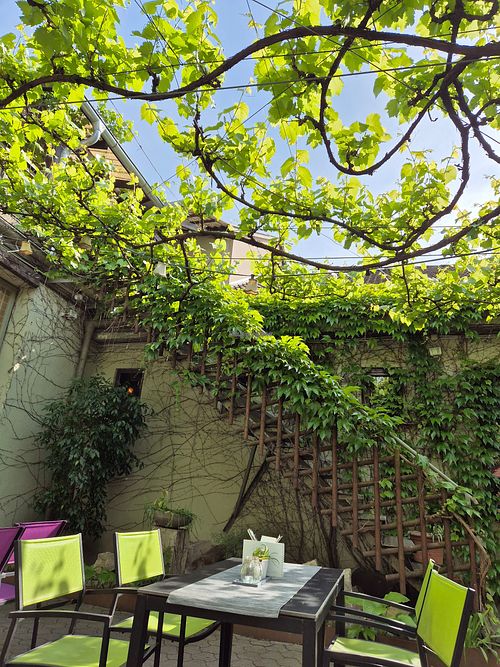 The seating area outside at Alexander in Gallbrunn
