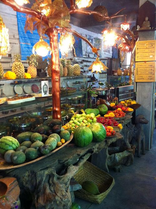 Friendly dogs hanging around at 9 Warung in Ubud