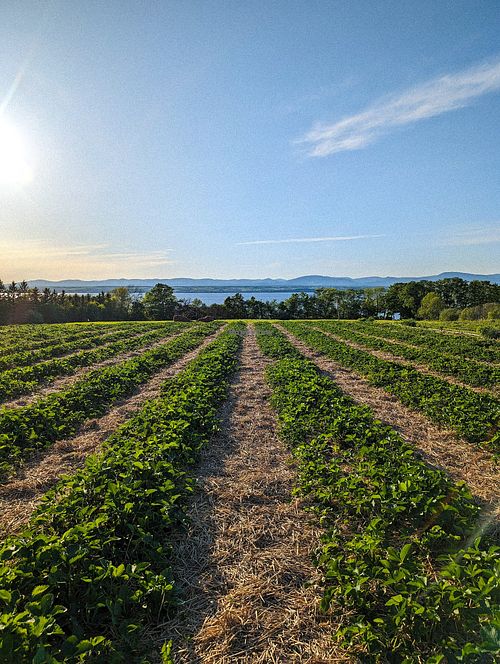  at FERME À CIEL OUVERT in Saint-vallier
