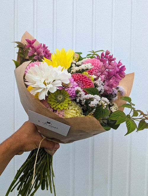  at FERME À CIEL OUVERT in Saint-vallier