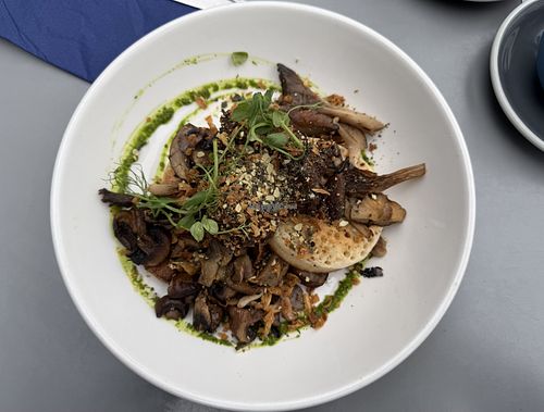   at Coffika in Sheffield