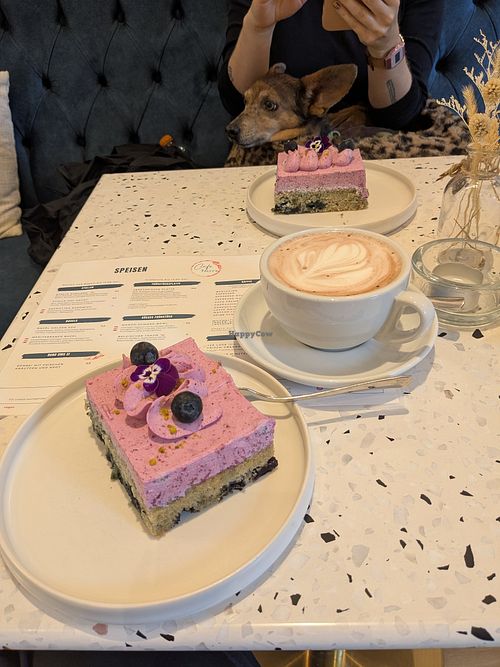 Vegan blueberry cake and hot chocolate with oat milk at Café Tally's in Waechtersbach