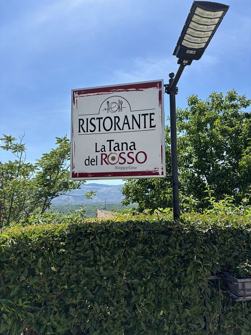 Very helpful with vegan options  at La Tana Del Rosso in Roccacasale