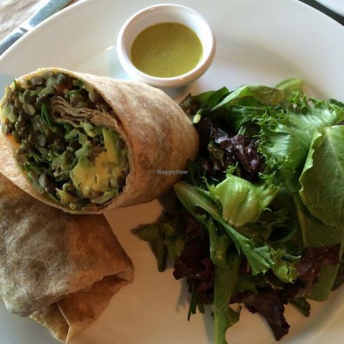 Vegan wrap with mesclun side salad and house dressing (vegan- apple cider vinegar, olive oil + fresh herb) at Bloom Cafe in Los Angeles