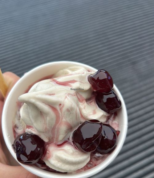 Hafer Frozen Yogurt 2 Toppings (Amarena Kirsch und Vanillesauce)  at Frozen Yogurt by _Rauwolf in Vienna