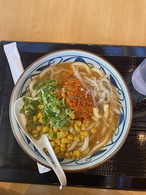 Vegan udon  at Marugame Udon in Berkeley