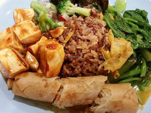 economic brown rice with green veg, broccoli, tofu and spring roll at Vegetarian - Tan Tock Seng Hospital in Central Singapore
