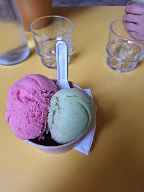 Sorbets hibiscus, petit pois/menthe, café en dessous at Glacier des vignobles in Saint-emilion