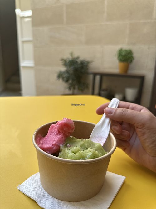   at Glacier des vignobles in Saint-emilion