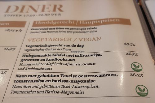 De vegan/vegetarische keuzes (juni 2025) at Brasserie de Lindeboom in Den Burg