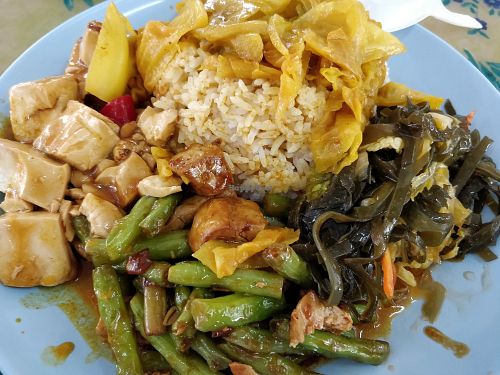 Economic rice - tofu, long bean, curry vegetables and sea weed at Eight Immortals Vegetarian 八仙素食园 - Pasir Panjang in West Singapore