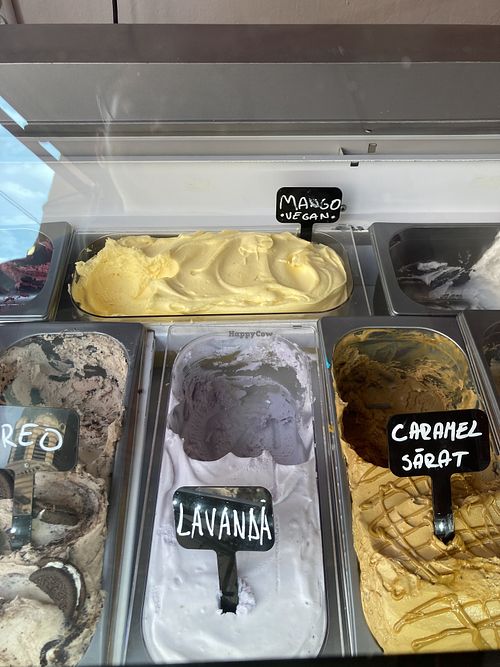 Mango  at Heiss & Eis 2 in Sibiu