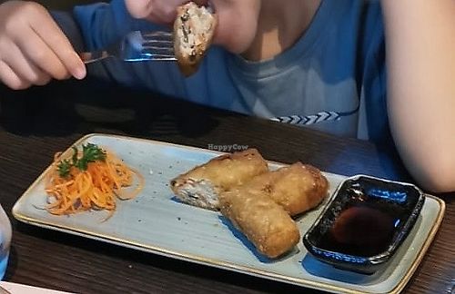 hausgemachte veggie Frühlingsrollen mit Sojasoße  at Sen Freiburg - Taste of Asia in Freiburg