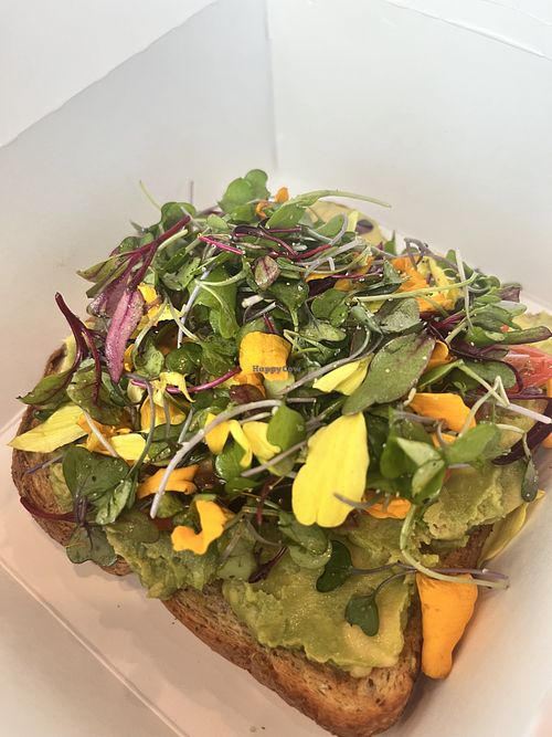 Vegan avocado toast (as is on menu)  at Capital One Café in Santa Monica