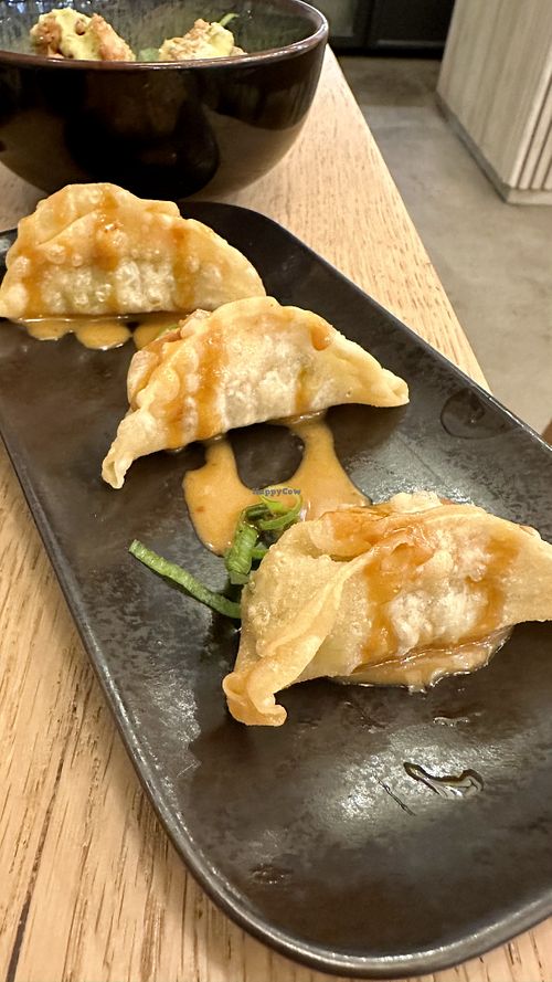Gyoza’s  at Bloom Sushi in Lyon