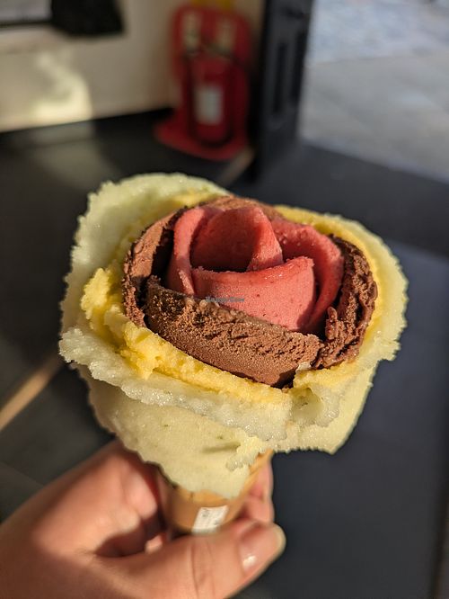 Sorbets at Amorino - Canterbury in Canterbury