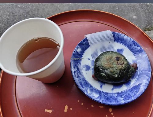  at Inoue Botando in Nara
