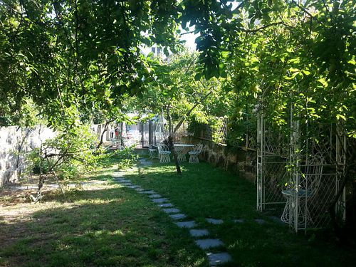The fresh garden at Em Carne Viva in Porto