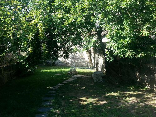 Garden at Em Carne Viva in Porto