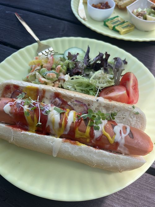 Vegan hot dog  at Care In The Garden CIC in Wootton
