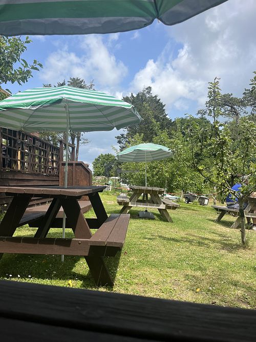 Garden seating area  at Care In The Garden CIC in Wootton